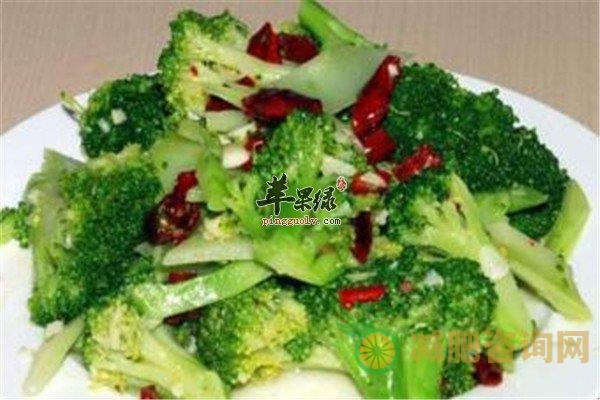 西兰花能减肥 两款减肥食谱-第3张图片-减肥咨询网