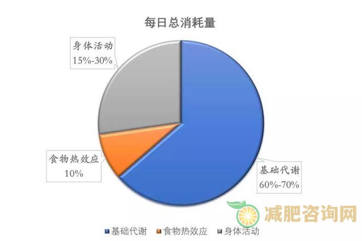 减肥运动量多少合适-第2张图片-减肥咨询网