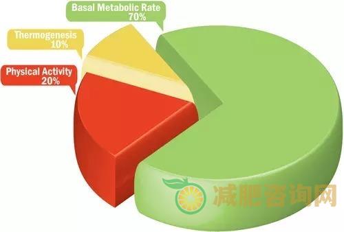 基础代谢率减肥法