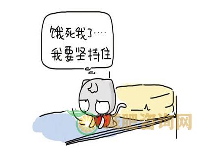 节食减肥 适当减肥即可