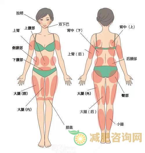 冬天学生减肥计划 让你快速减脂-第1张图片-减肥咨询网