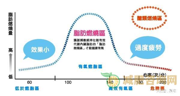 减肥餐具设计-第1张图片-减肥咨询网