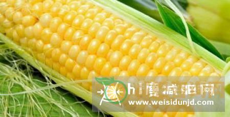 为什么吃玉米减肥 推荐玉米减肥食谱-第1张图片-减肥咨询网