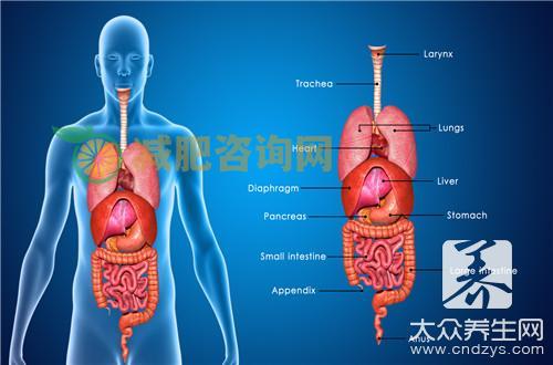  中医治疗胆囊炎的方法