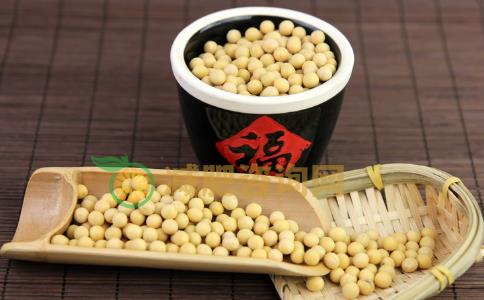 半断食减肥法好处 王明勇半断食减肥法 什么是半断食减肥法