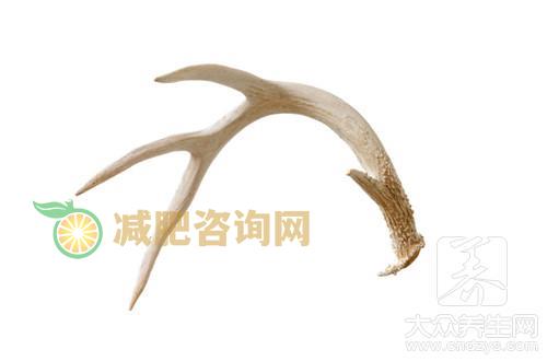 鹿茸和鹿鞭可以一起泡酒吗？都有什么功效？