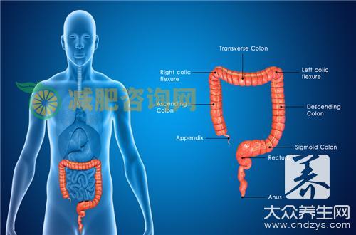 直肠息肉中医治疗方法是什么