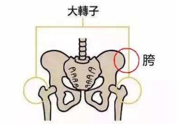 假胯宽可以纠正吗 可以纠正的